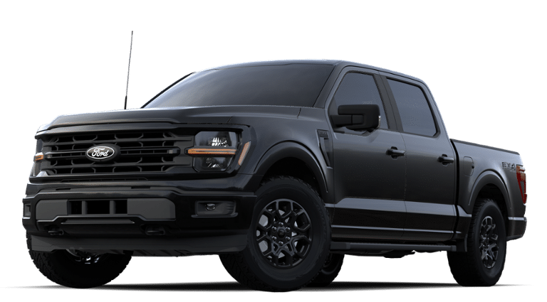 2024 Ford F-150 Vehicle Photo in Weatherford, TX 76087-8771